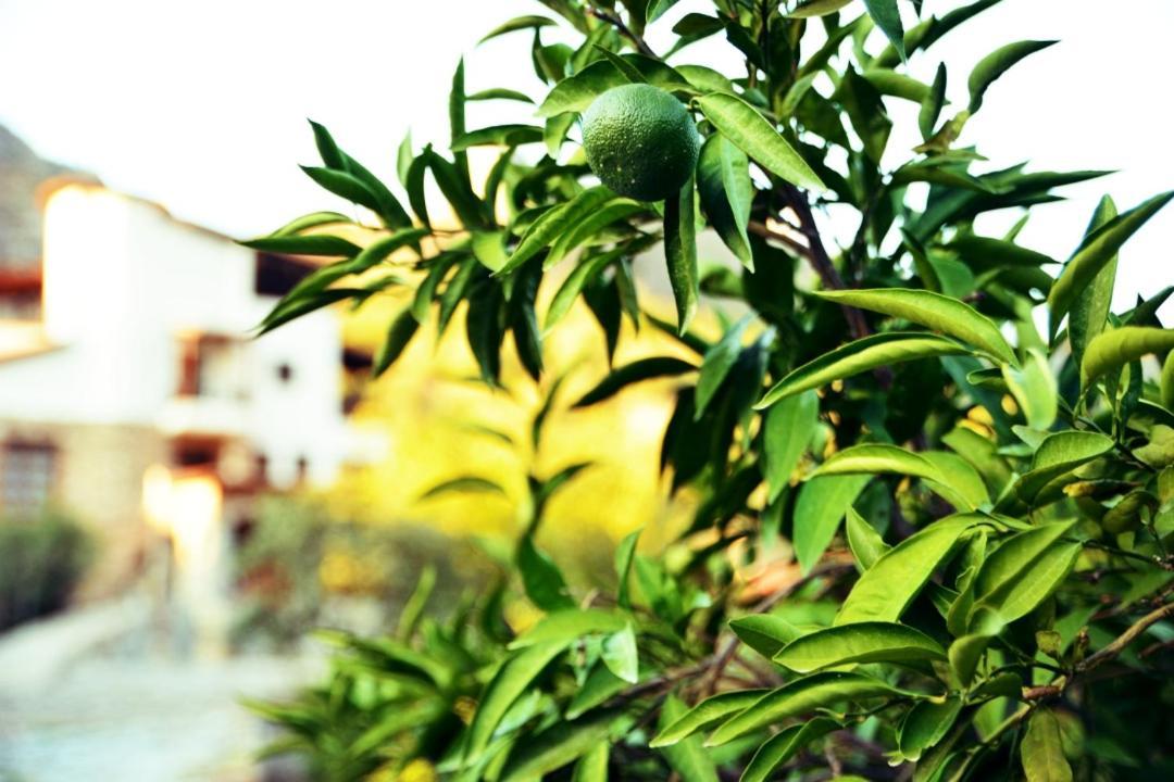 Pir Efes Konaklari Esmirna Exterior foto